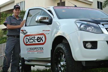 pest ex termite pest control