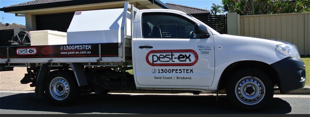 termite inspection service pest image