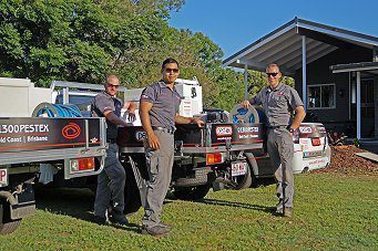 pest control eagleby image