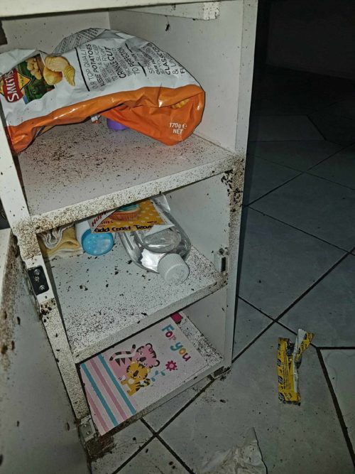 pest control problem