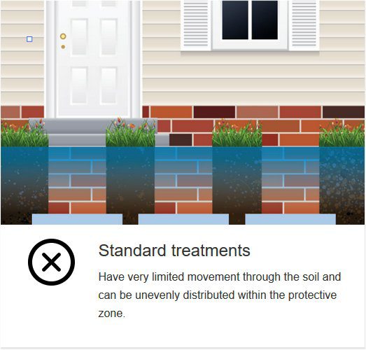 standard termidor termite treatment image