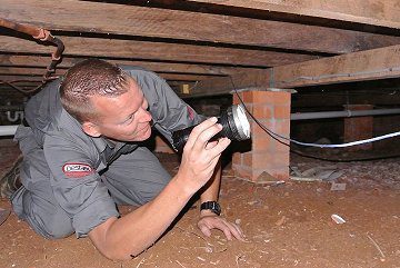 pest control bridgeman downs image