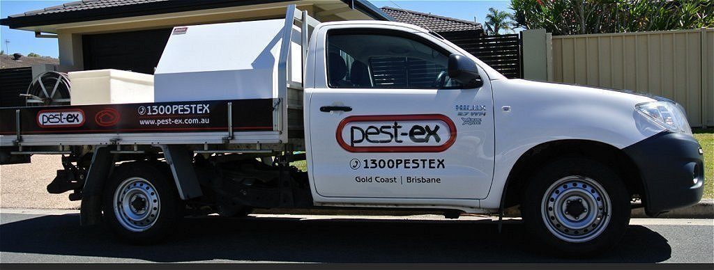 pest control termite treatment arundel image