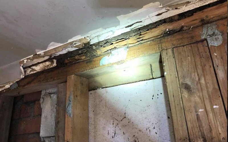 termite infestation gold coast home2 image