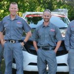 pest ex termite treatment professionals