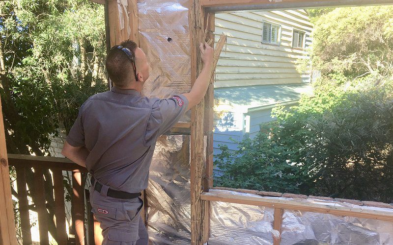 structural damage caused termites image