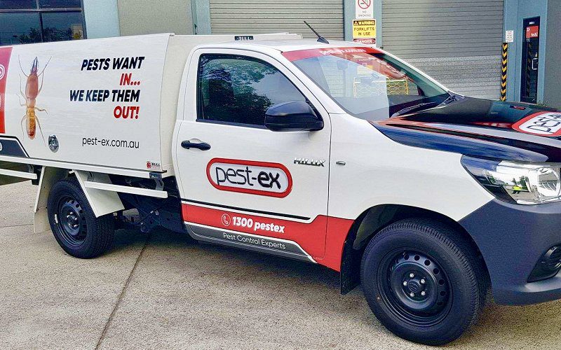 pest ex termite treatment professionals image