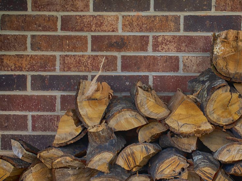 termites timber against house image